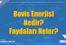Bovis Enerjisi Nedir? Faydaları Neler? - A'dan Z'ye Bilgiler