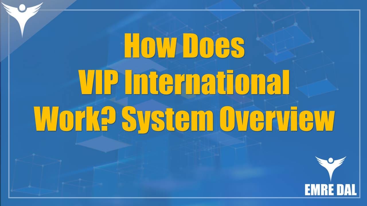 How Does VIP International Work? System Overview