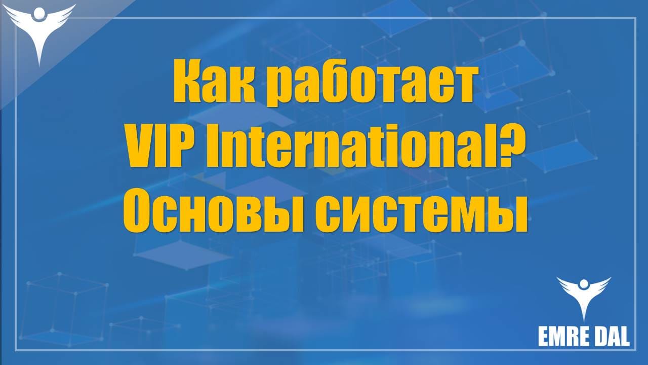 Как работает VIP International? Основы системы