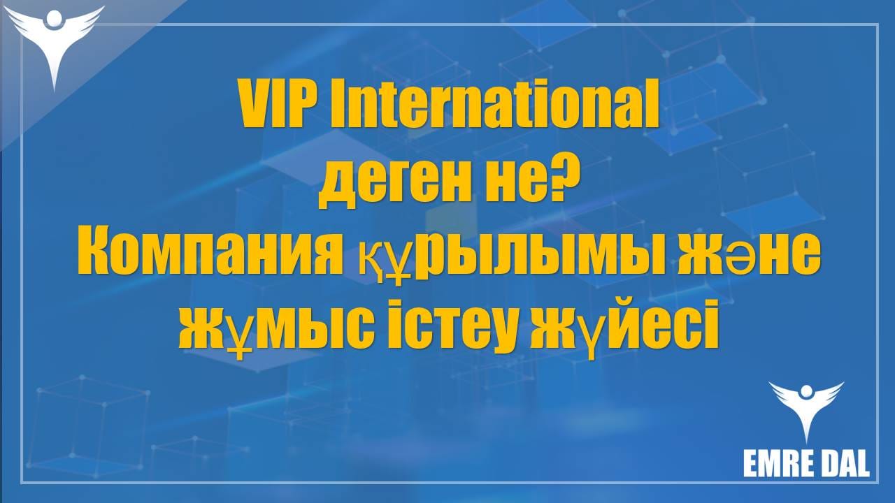 VIP International деген не? Компания құрылымы және жұмыс істеу жүйесі
