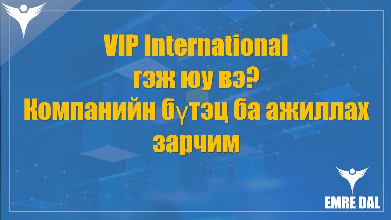 VIP International гэж юу вэ? Компанийн бүтэц ба ажиллах зарчим