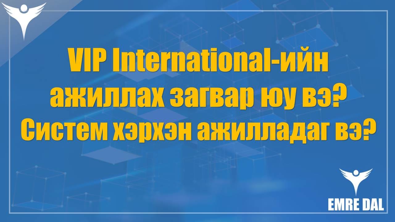 VIP International-ийн ажиллах загвар юу вe Систем хэрхэн ажилладаг вэ VIP International-ийн ажиллах загвар юу вэ? Систем хэрхэн ажилладаг вэ?