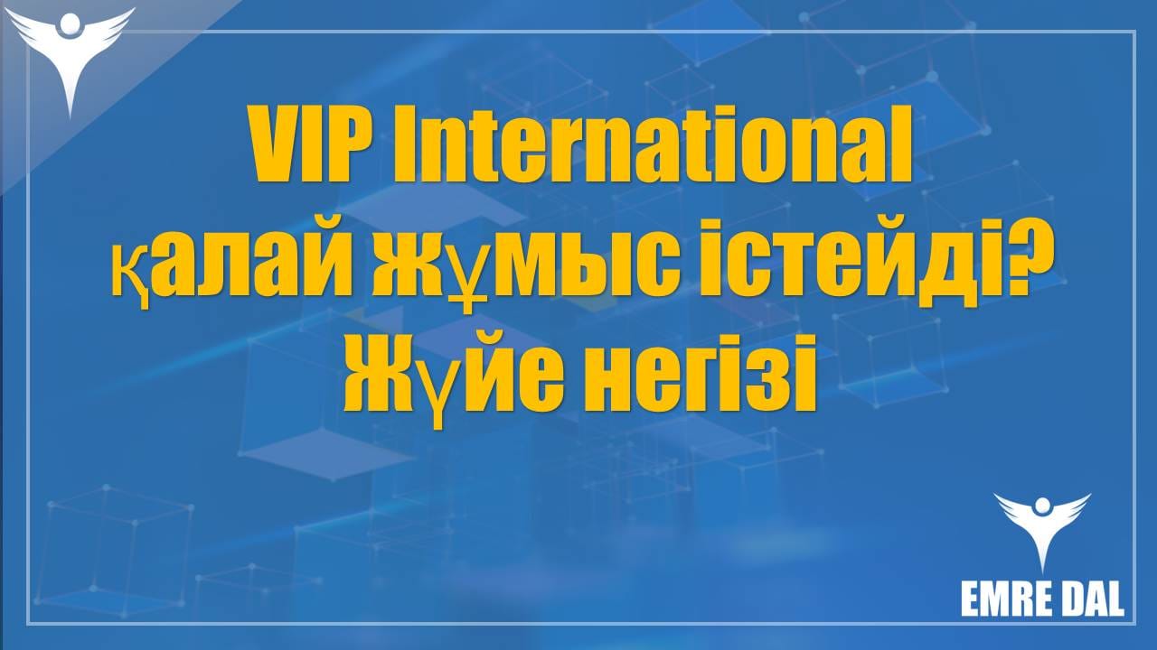 VIP International қалай жұмыс істейді? Жүйе негізі