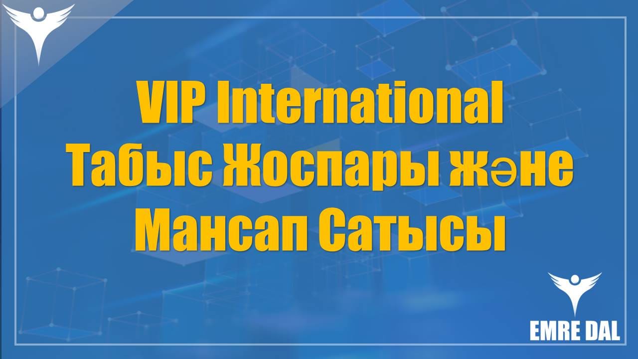 VIP International Табыc Жоспары және Мансап Сатысы