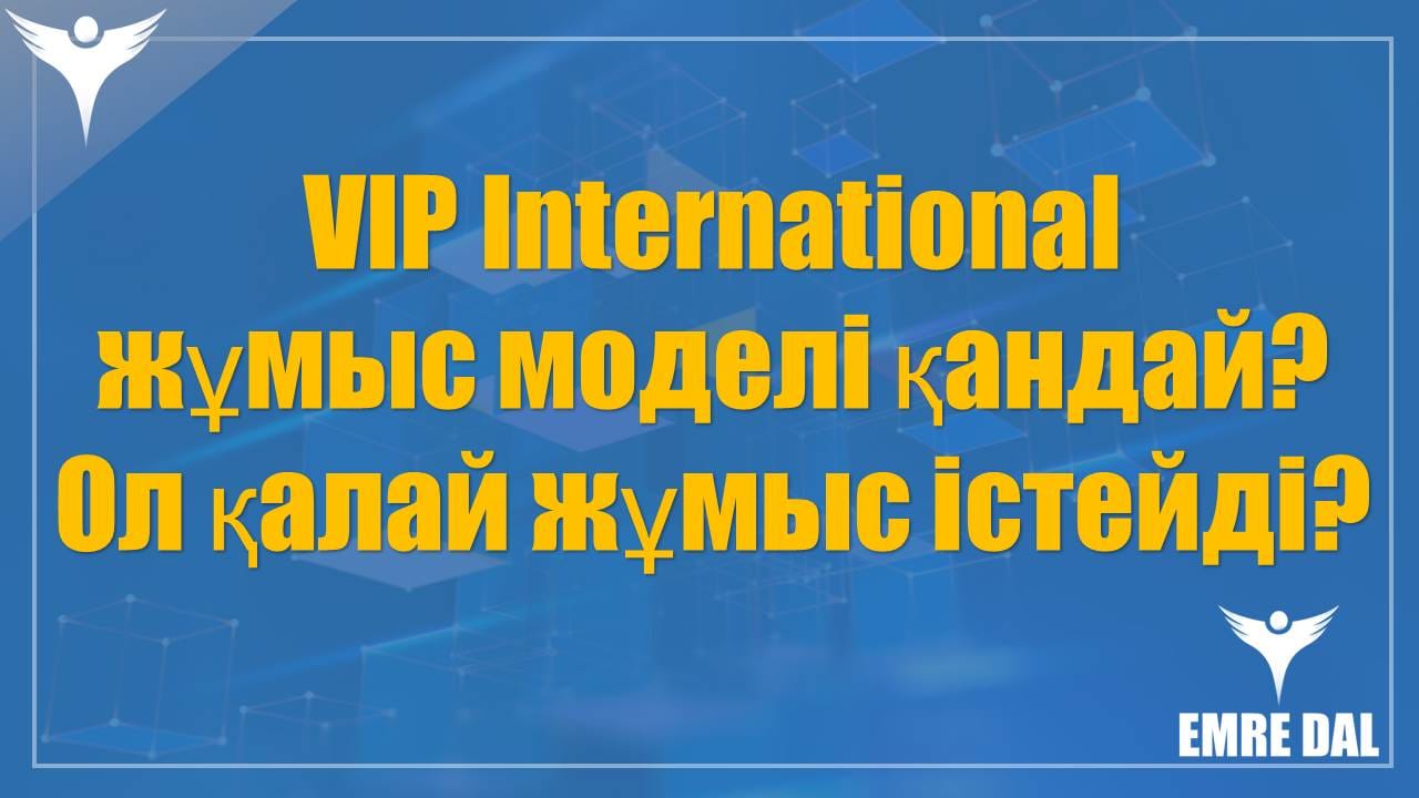 VIP International жұмыс моделі қандай? Ол қалай жұмыс істейді?