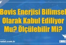 Bovis Enerjisi Bilimsel Olarak Kabul Ediliyor Mu? Ölçülebilir Mi?