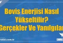 Bovis Enerjisi Nasıl Yükseltilir? Gerçekler Ve Yanılgılar