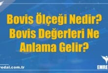 Bovis Ölçeği Nedir? Bovis Değerleri Ne Anlama Gelir?