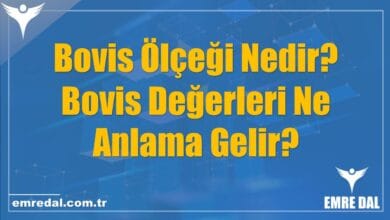 Bovis Ölçeği Nedir? Bovis Değerleri Ne Anlama Gelir?