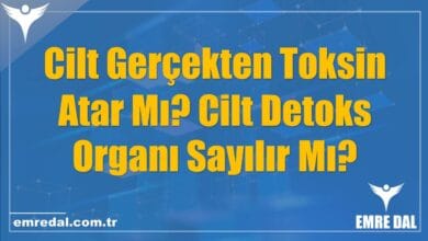 Cilt Gerçekten Toksin Atar Mı? Cilt Detoks Organı Sayılır Mı?