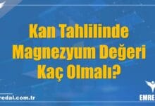 Kan Tahlilinde Magnezyum Değeri Kaç Olmalı?