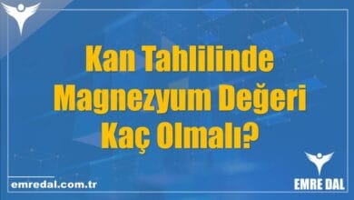 Kan Tahlilinde Magnezyum Değeri Kaç Olmalı?