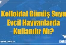 Kolloidal Gümüş Suyu Evcil Hayvanlarda Kullanılır Mı?