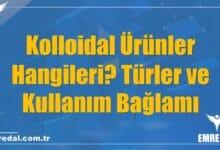 Kolloidal Ürünler Hangileri? Türler ve Kullanım Bağlamı