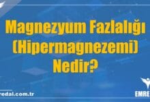 Magnezyum Fazlalığı Hipermagnezemi Nedir