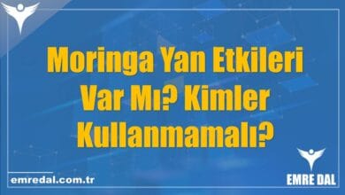 Moringa Yan Etkileri Var Mı? Kimler Kullanmamalı?