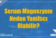 Serum Magnezyum Neden Yanıltıcı Olabilir?