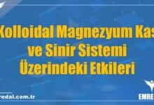 Kolloidal Magnezyum Kas ve Sinir Sistemi Üzerindeki Etkileri