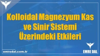 Kolloidal Magnezyum Kas ve Sinir Sistemi Üzerindeki Etkileri
